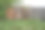 在乌拉尔(俄罗斯)的一个村庄的房子附近，夏天用木板做成的带门的旧木栅栏。图片下载