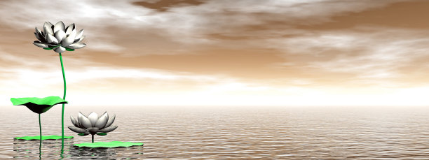 禅宗百合花- 3D渲染图片下载