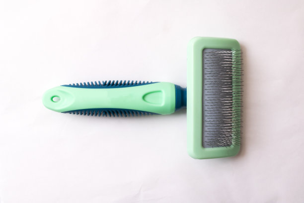 绿色动物梳子在白色背景接近p图片下载