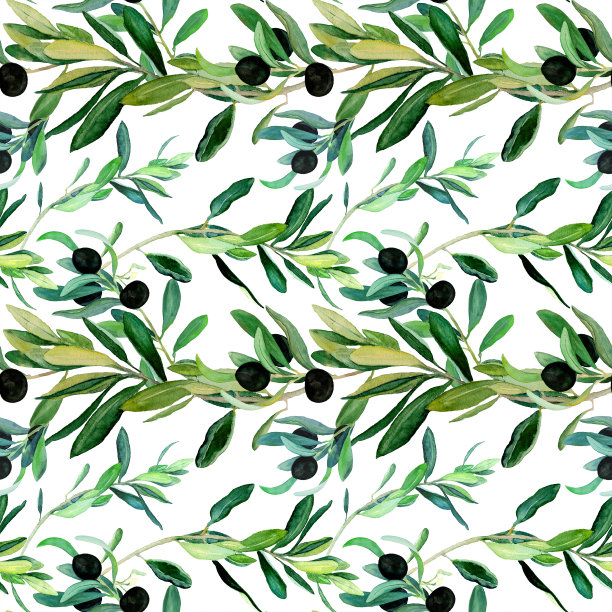 水彩橄榄枝无缝图案在白色背景。手绘水彩插图。图片下载