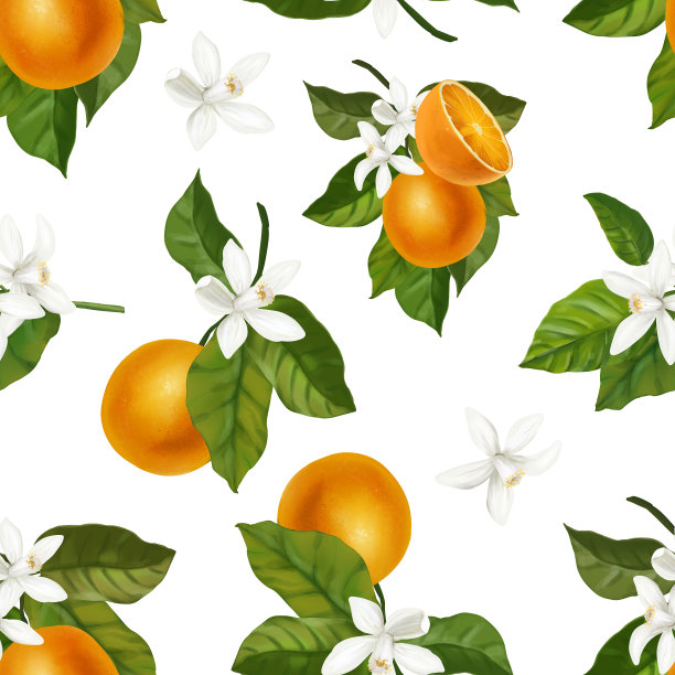橙子水果的无缝图案图片下载