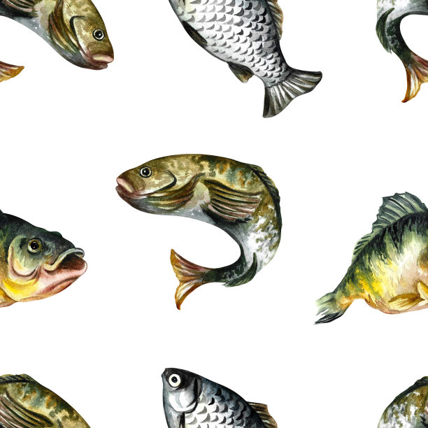 大型图案，无缝纹理与鱼为钓者。在白色的背景上。水彩插图。图片下载