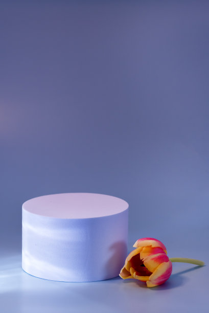 摘要最小场景空舞台与白色讲台上的蓝色背景红色郁金香花阴影蓝色色调的照片底座化妆品产品模型垂直图片下载