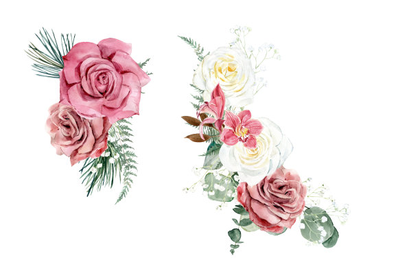 水彩集波西米亚花束玫瑰，叶子，蕨类孤立在一个白色的背景。图片下载
