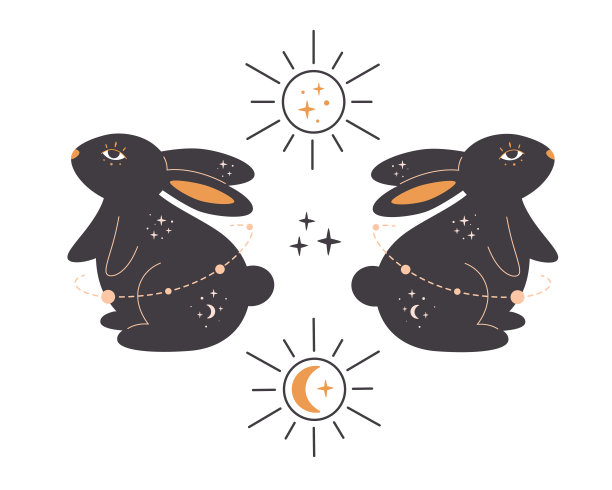 兔子具有占星术，深奥，神秘和魔术的元素。(兔年)手绘矢量插图图片下载