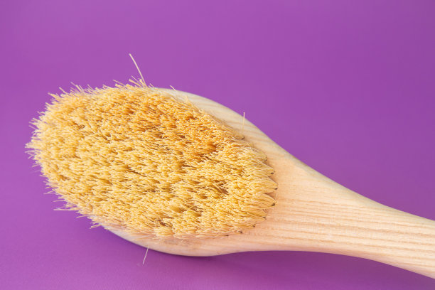 木柄天然干毛刷，用于脂肪团按摩。皮肤按摩刷的特写图片下载