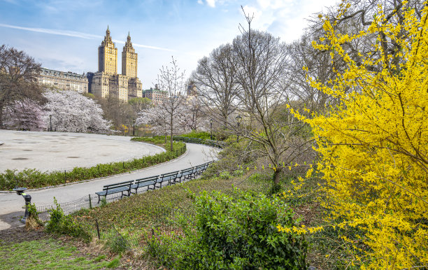 春天的中央公园图片下载