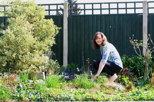 在池塘边找青蛙。图片下载
