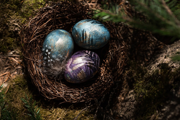 2022年复活节快乐。一张明信片，上面有文字的地方。紫色，蓝色和金色的蛋在一个鸟巢在自然森林的背景。前视图。图片下载