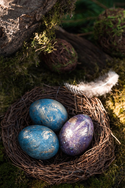 2022年复活节快乐。一张明信片，上面有文字的地方。紫色，蓝色和金色的蛋在一个鸟巢在自然森林的背景。前视图。图片下载