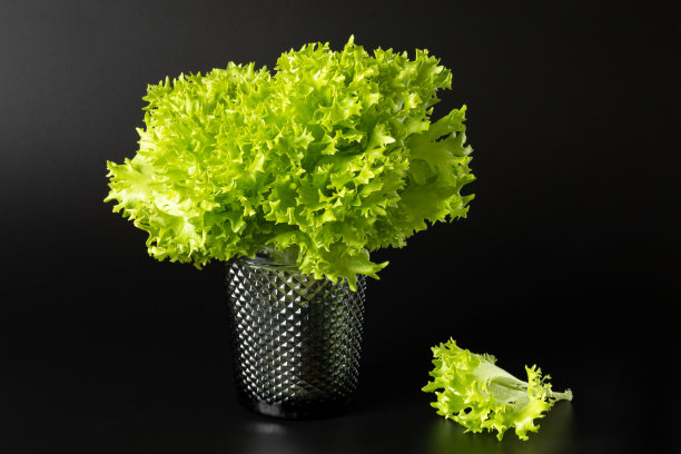 一束新鲜的绿色生菜放在玻璃杯里，另一片叶子放在黑色的背景上图片下载