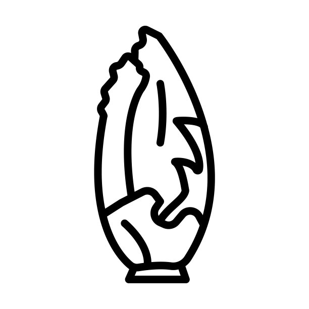 从水果和蔬菜收集莴苣图标。薄线形生菜，食物，洋葱轮廓图标孤立在白色背景上。线矢量生菜符号，网络和移动符号。图片下载