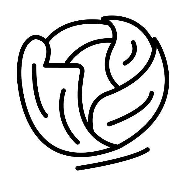 卷心菜图标从水果和蔬菜收集。薄线形卷心菜，食物，素食轮廓图标孤立在白色背景上。线向量包心菜符号，网络和移动的符号。图片下载