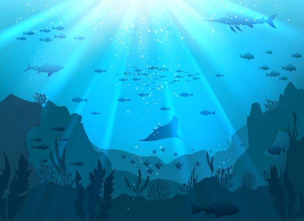 海底的珊瑚礁图片下载