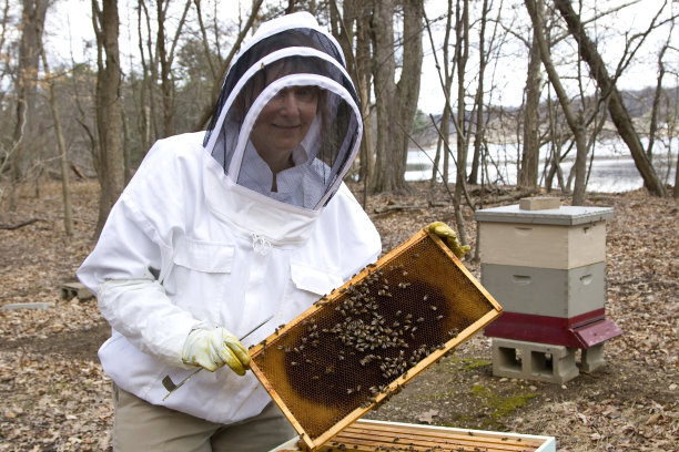 养蜂人自豪地展示蜂巢图片下载