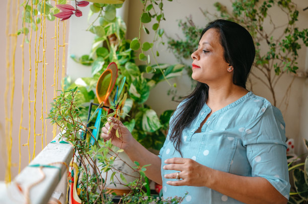 用绿色盆栽装饰阳台的女人。图片下载