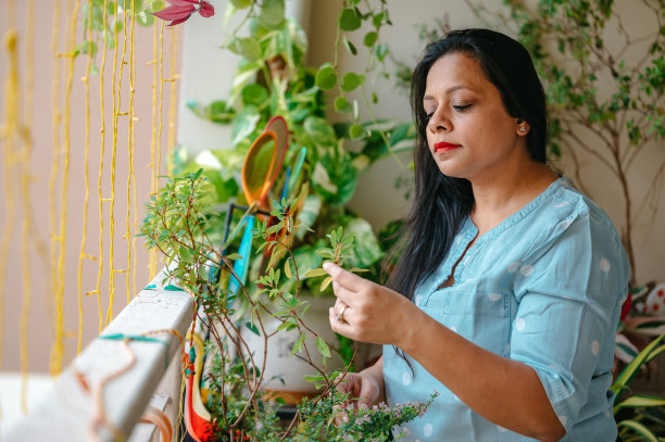 用绿色盆栽装饰阳台的女人。图片下载