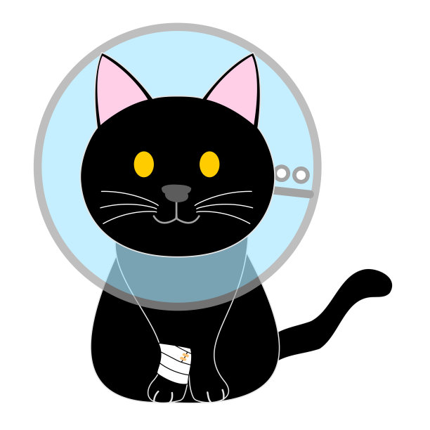 戴着伊丽莎白时代项圈的黑猫图片下载