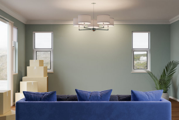 几个纸板移动箱，沙发和植物在地板上的空房子的空白墙。图片下载