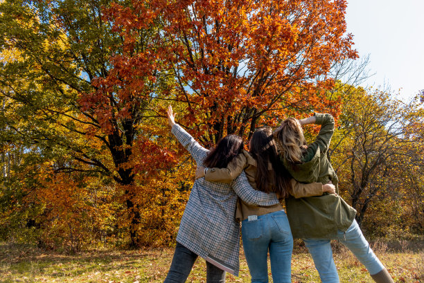 三个不同的女性朋友在秋天的森林里玩得很开心。女性友谊的概念。图片下载