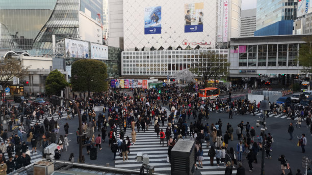 日本东京涩谷，人行横道和城市景观。图片下载