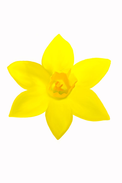 水仙花图片下载