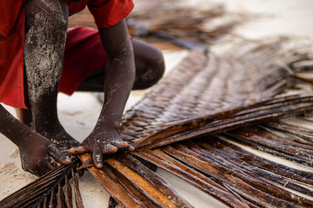 一个非洲孩子用一张棕榈叶的照片编织一件物品图片下载