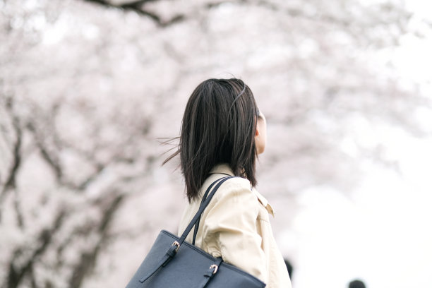 年轻女子看樱花的后视图图片下载