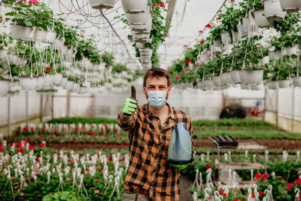 这里所有的完美图片下载