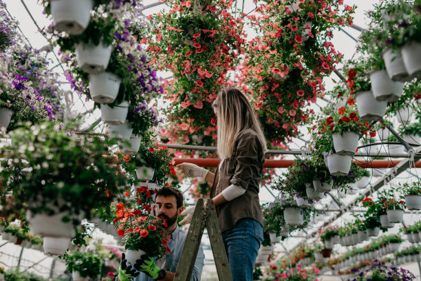 为我美丽的花朵腾出空间图片下载