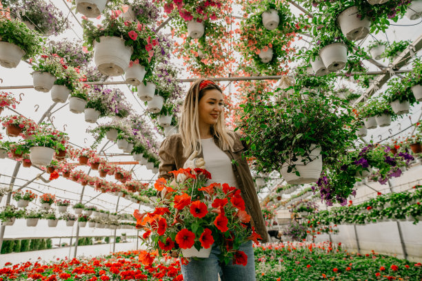 今天是你们的安排日图片下载