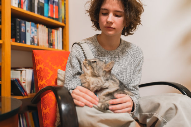 花时间陪你心爱的猫图片下载