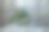 窗边桌子上的花瓶里插着一束白色郁金香图片下载