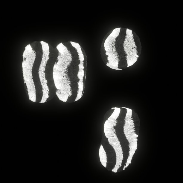 蓬松的斑马字体引号和逗号和句号图片下载