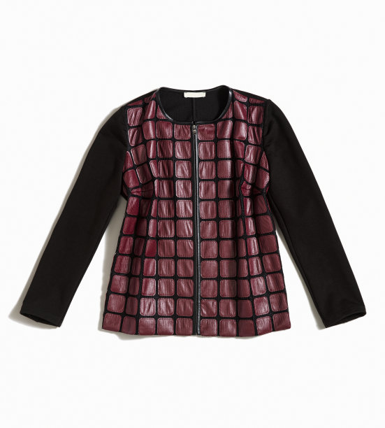 时尚夹克孤立在白色背景上图片下载