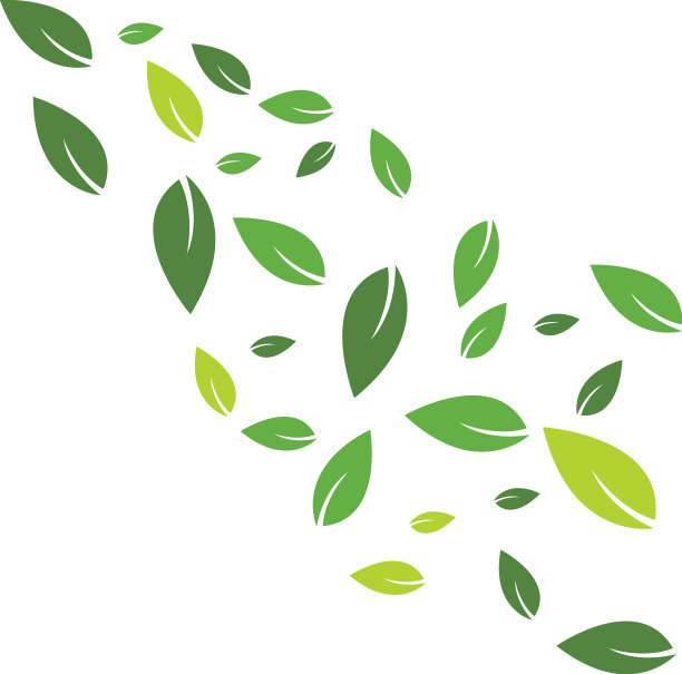 绿叶背景图片下载