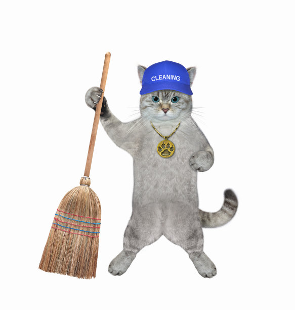 猫灰色站着，拿着草扫帚图片下载