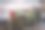 美丽的花概念在浅深的领域。图片下载