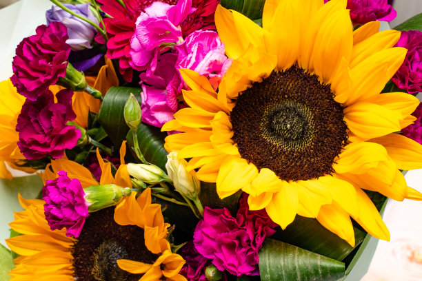 向日葵春天的气味图片下载