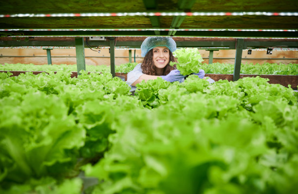 在温室里工作的快乐的女园丁。图片下载