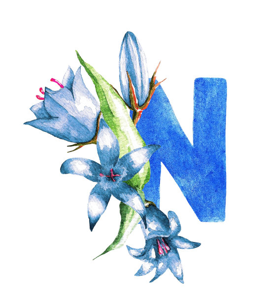 字母N和铃铛。水彩图片下载