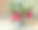 花瓶里的玫瑰。图片下载