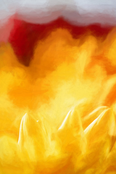 数字绘画黄色，和橙色Aster花盛开。图片下载