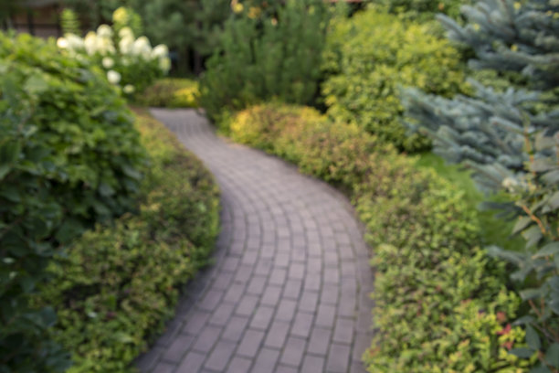 铺好了的小巷在公园的灌木丛和树木之间。景观。图片下载