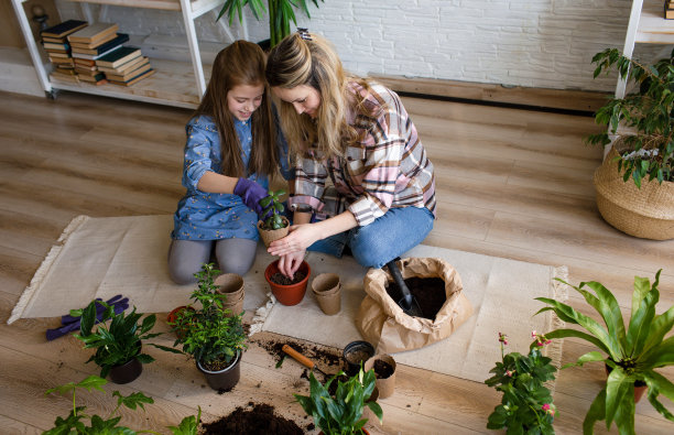一对年轻的母亲和女儿在照料鲜花。照顾室内植物。图片下载