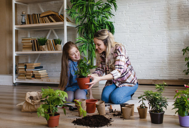 一对年轻的母亲和女儿在照料鲜花。照顾室内植物。图片下载
