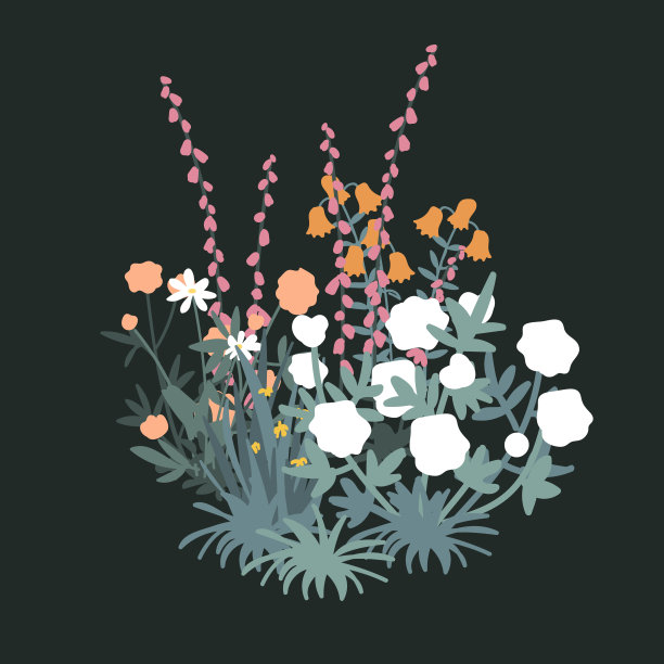 春天的花园花孤立集。花园花坛和绿色的草包在白色的背景。春天和夏天的野花组成。矢量图图片下载