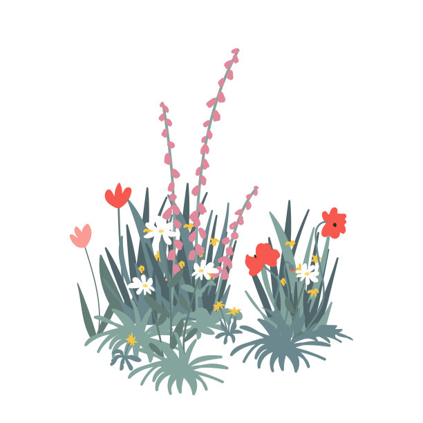 春天的花园花孤立集。花园花坛和绿色的草包在白色的背景。春天和夏天的野花组成。矢量图图片下载