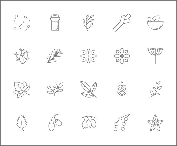 一套草药和香料图标线风格。图片下载
