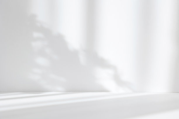 摘要白色工作室背景的产品介绍。空荡荡的房间里有窗户的影子，还有花和棕榈叶的影子。有复制空间的3d房间。夏季音乐会。模糊的背景。图片下载
